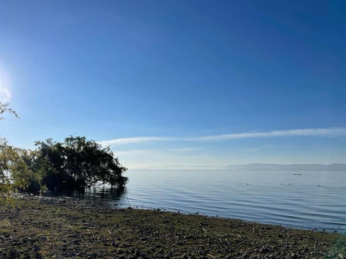 Seuia Departamentos Con Alberca A Pasos Del Lago Ajijic Eksteriør billede